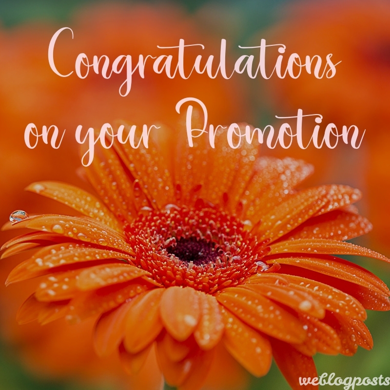 Promotion Wishes